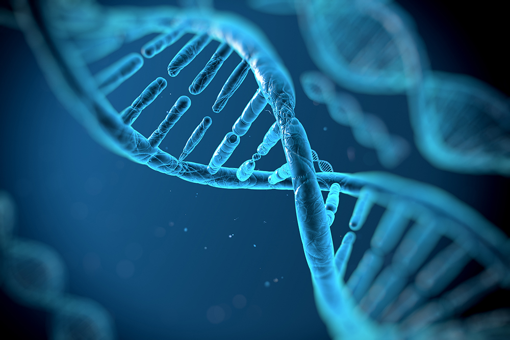 KRAS Gene Study